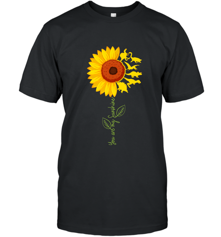 You're My Sunshine Sunflower Dinosaur T Rex Men's T-Shirt Men's T-Shirt / Black / S Men's T-Shirt - jonhlittlestore88